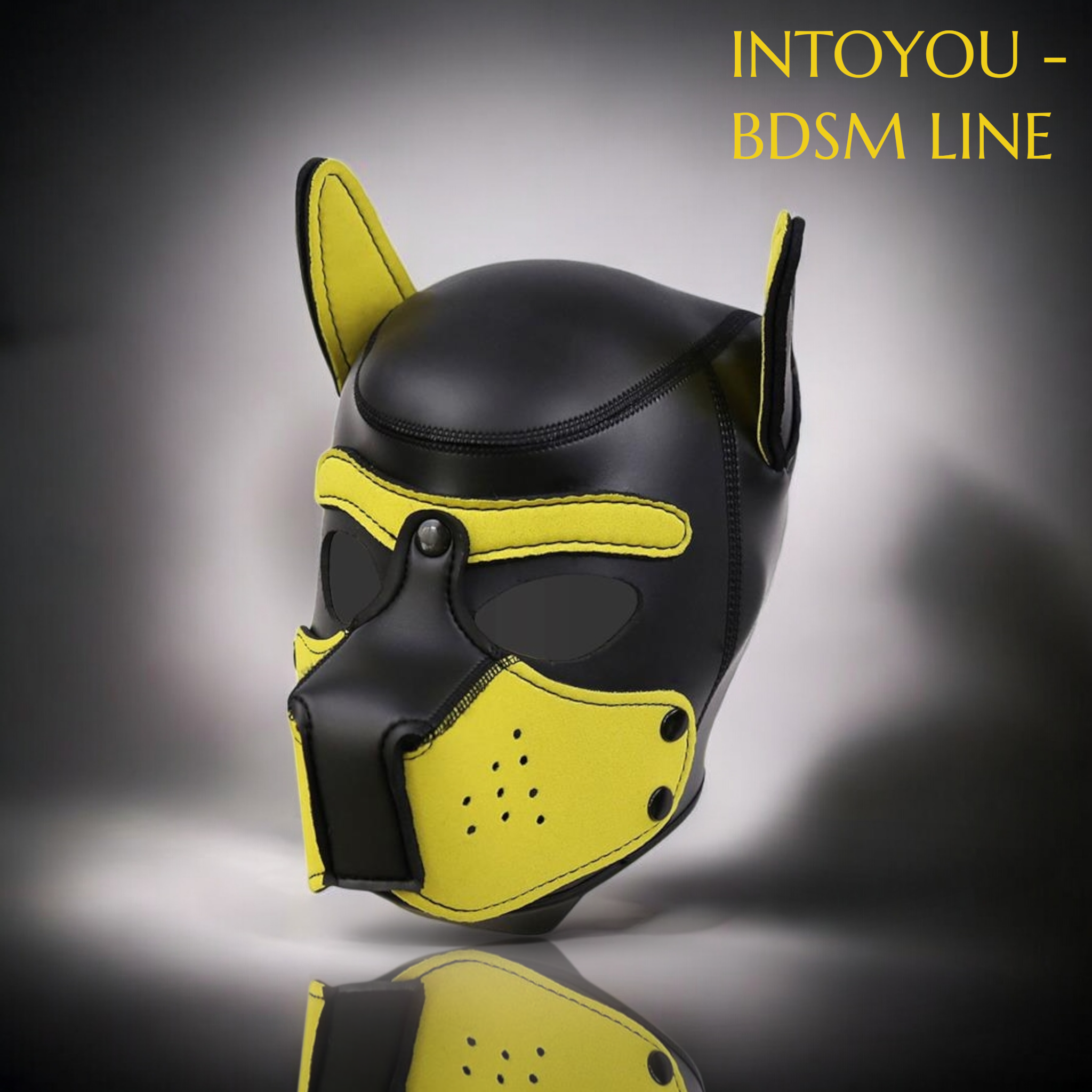 INTOYOU bdsm line - Masque Puppy en néoprène avec museau amovible